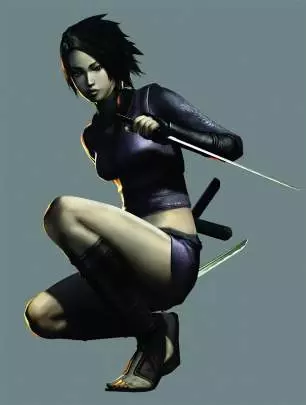 Tenchu Shadow Assassins
