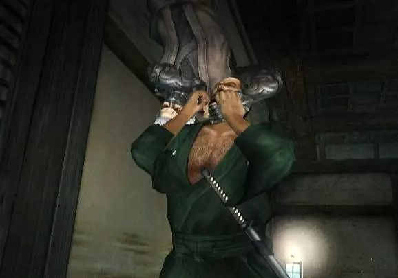 Tenchu Shadow Assassins - Wii