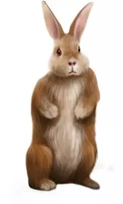 Los Sims 2 Vecinos y mascotas