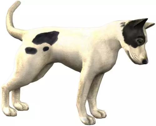 Los Sims 2 Vecinos y mascotas - DS