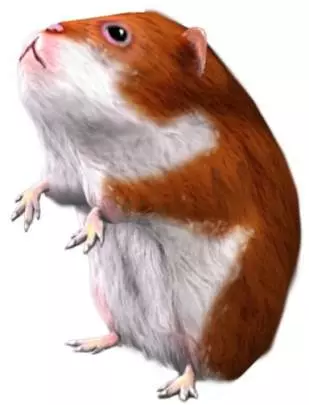 Los Sims 2 Vecinos y mascotas