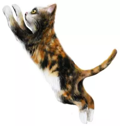 Los Sims 2 Vecinos y mascotas