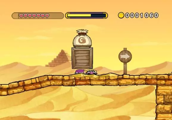 Wario Land The Shake Dimension