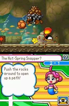 The Legendary Starfy - DS