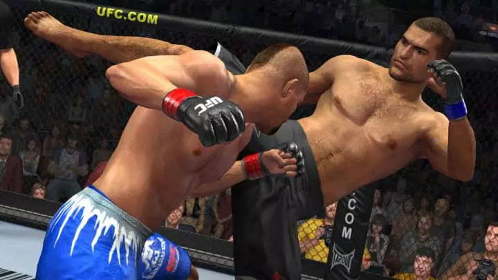 UFC 2009