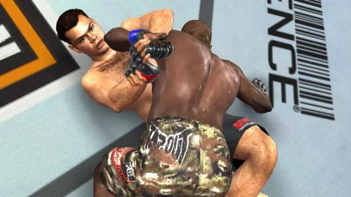 UFC 2009
