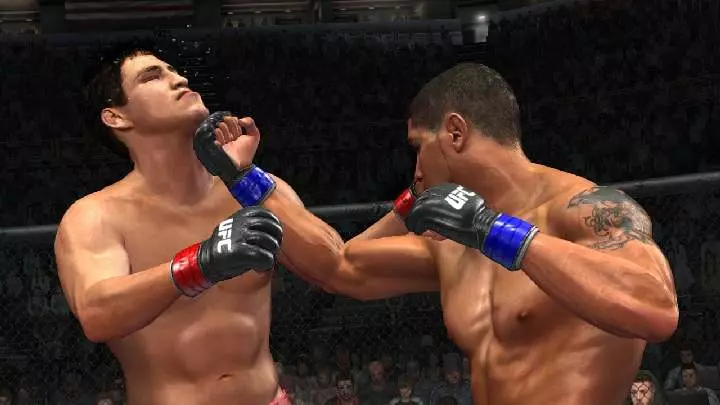 UFC 2009