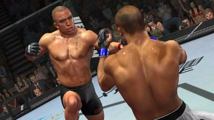 UFC 2009