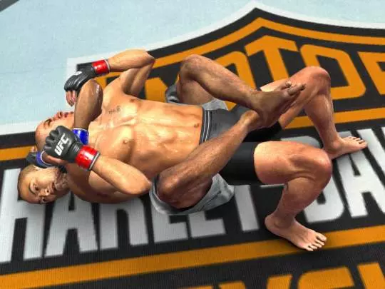 UFC 2009