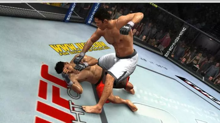 UFC 2009