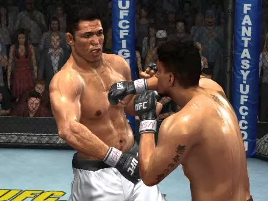 UFC 2009