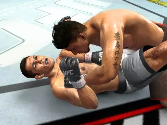 UFC 2009 - PS3