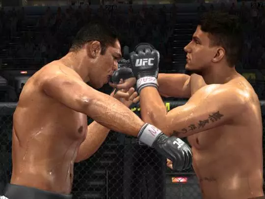 UFC 2009
