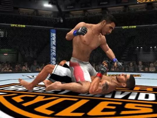UFC 2009