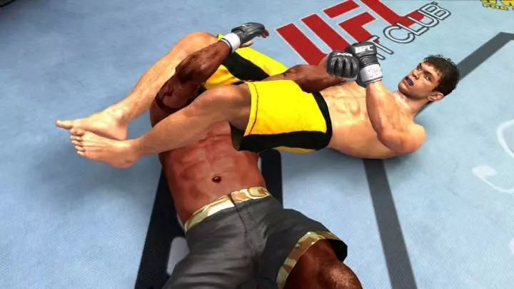 UFC 2009