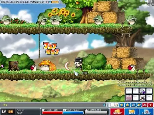 MapleStory