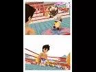 Animal Boxing - Imagen DS