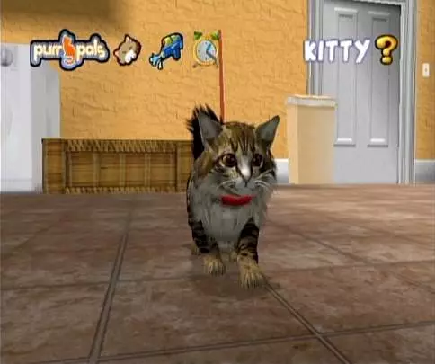 Cats Academy