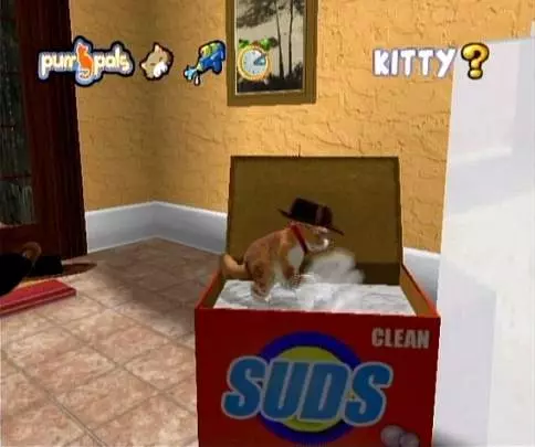 Cats Academy