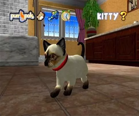 Cats Academy - DS