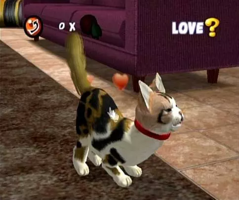 Cats Academy