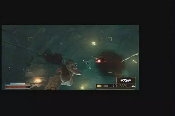 Resistance Retribution