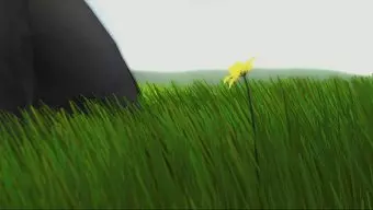 Flower: Trailer oficial