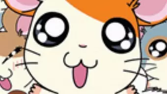 Análisis de Ham-Ham Training