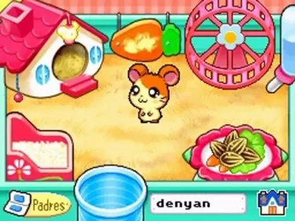 Ham-Ham Training DS