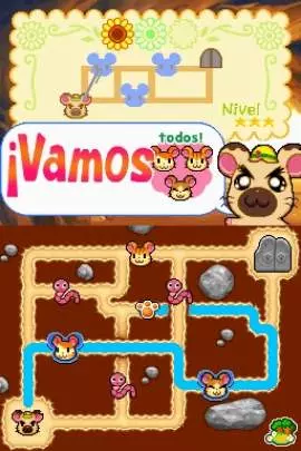 Ham-Ham Training - DS