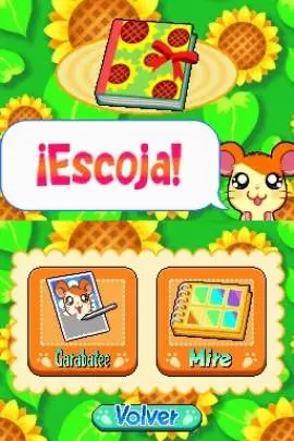 Ham-Ham Training - DS