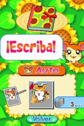 Ham-Ham Training - DS