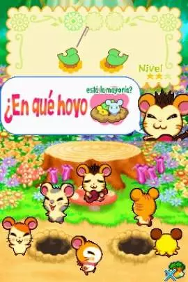 Ham-Ham Training - DS