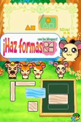 Ham-Ham Training - DS