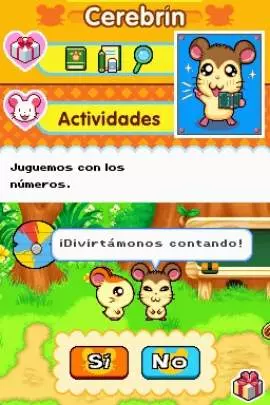 Ham-Ham Training - DS