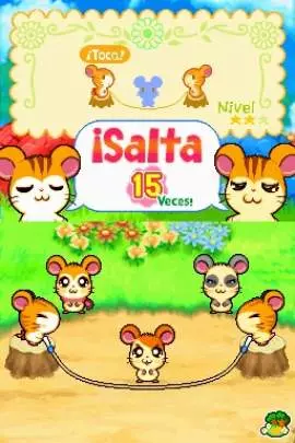 Ham-Ham Training - DS