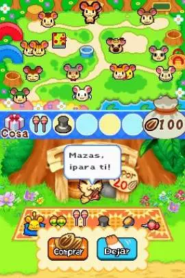 Ham-Ham Training - DS