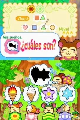 Ham-Ham Training - DS