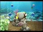 My Aquarium - Pantalla