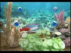 My Aquarium - Imagen