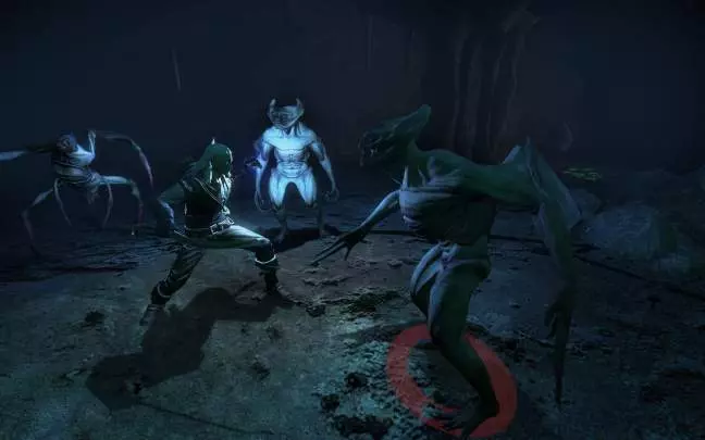 The Witcher: Enhanced Edition