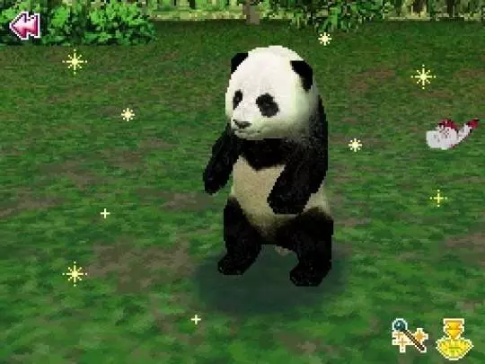 Animal Paradise Wild