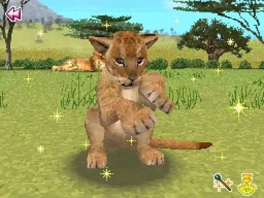 Animal Paradise Wild