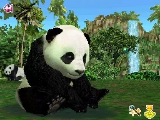 Animal Paradise Wild