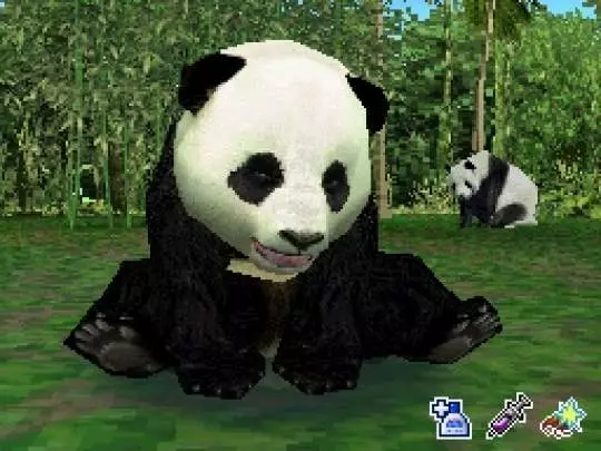 Animal Paradise Wild