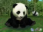Animal Paradise Wild - Imagen DS