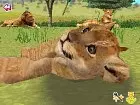 Animal Paradise Wild - Imagen DS