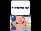 Baby Pals - Imagen DS