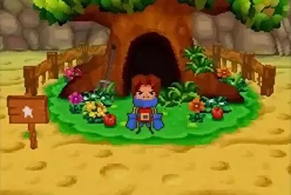 Away Shuffle Dungeon DS
