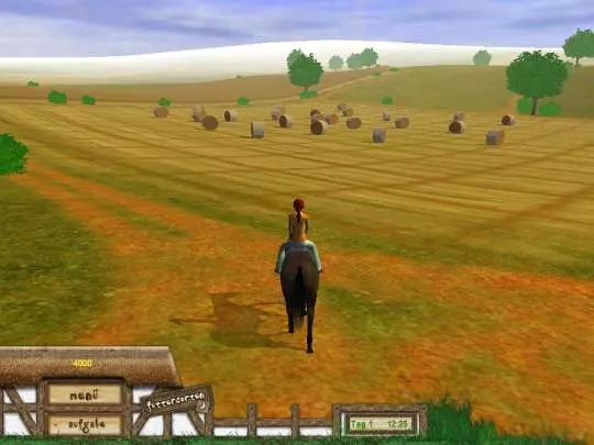 Mi Granja de Caballos